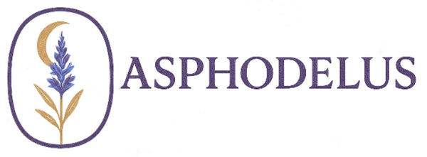 _Asphodelus_